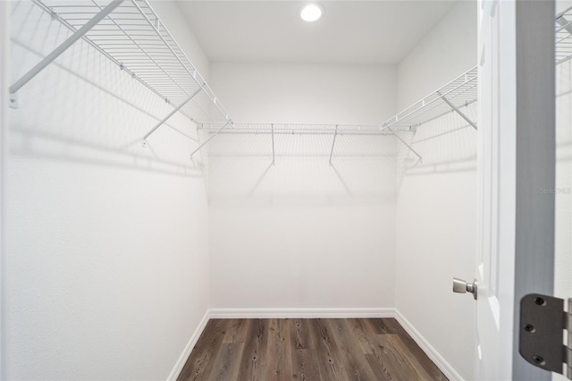 spacious closet featuring dark hardwood / wood-style floors