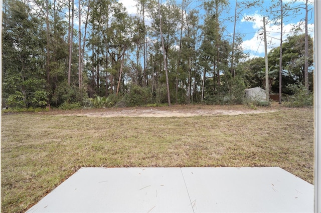 view of yard featuring a patio