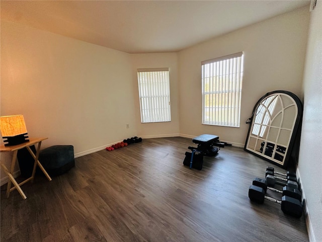 exercise area with dark hardwood / wood-style flooring