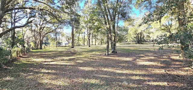 TBD SE 36th Ave, Ocala FL, 34480 land for sale