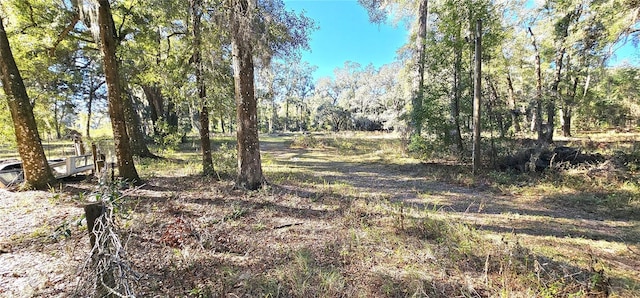 Listing photo 3 for TBD SE 36th Ave, Ocala FL 34480