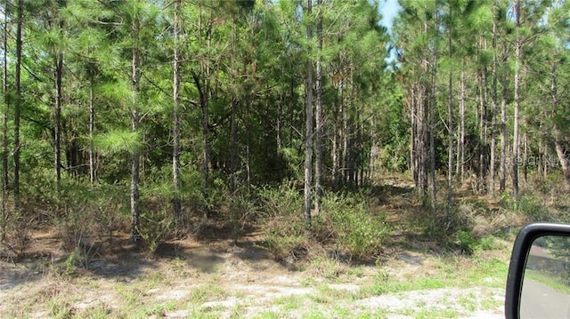 Listing photo 2 for Bay Court Pass, Ocklawaha FL 32179