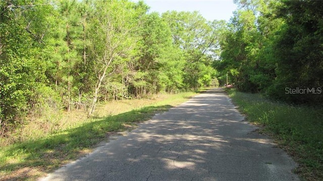 Listing photo 3 for Bay Court Pass, Ocklawaha FL 32179