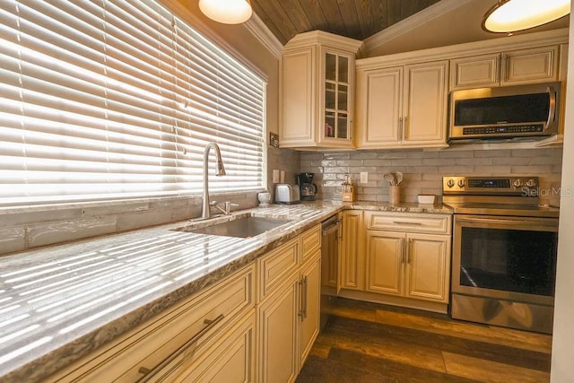 kitchen featuring appliances with stainless steel finishes, dark hardwood / wood-style floors, light stone countertops, and sink