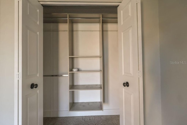 view of closet