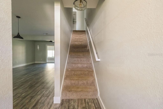 staircase with wood-type flooring