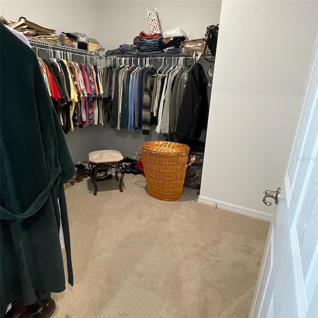 spacious closet featuring carpet