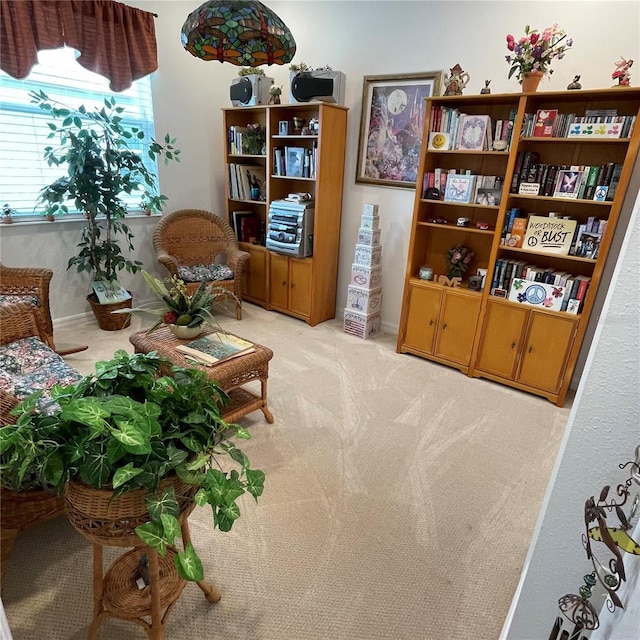 living area with baseboards and carpet flooring