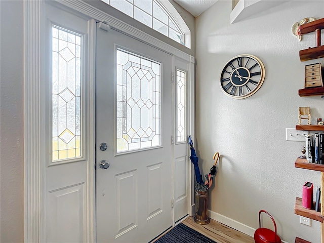 foyer entrance with hardwood / wood-style floors