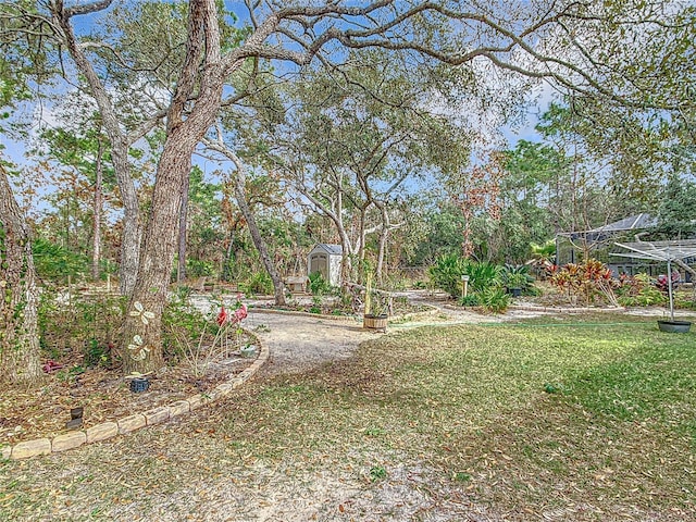 view of yard with a storage shed