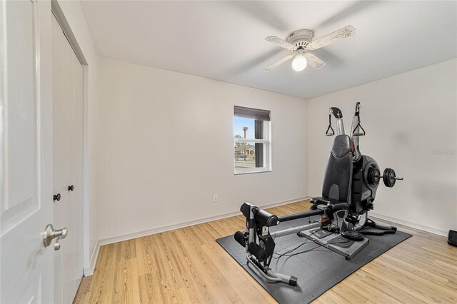 exercise room with ceiling fan and hardwood / wood-style floors