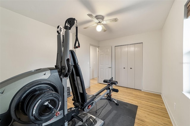 exercise area with ceiling fan and light hardwood / wood-style floors