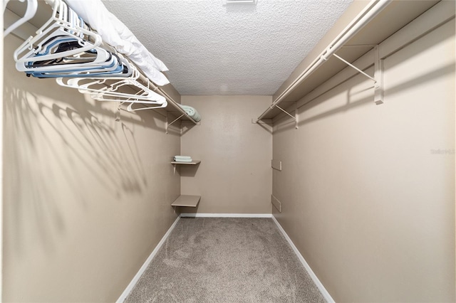 walk in closet with carpet flooring