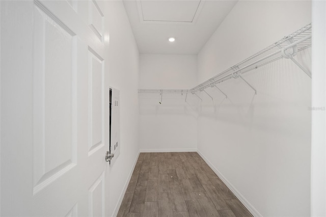 spacious closet featuring hardwood / wood-style floors