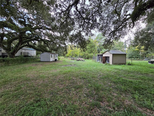 view of yard featuring a storage shed