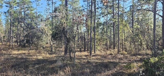 LOT13 NW Water Oak Ave, Dunnellon FL, 34431 land for sale