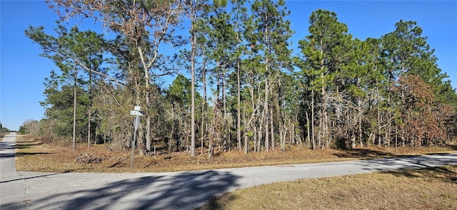 LOT10 SW Mineola Ln, Dunnellon FL, 34431 land for sale