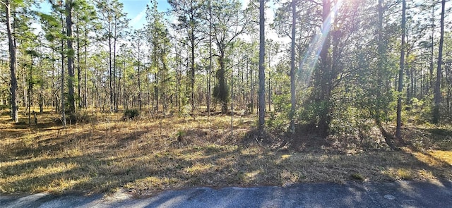 LOT10 SW Mineola Ln, Dunnellon FL, 34431 land for sale