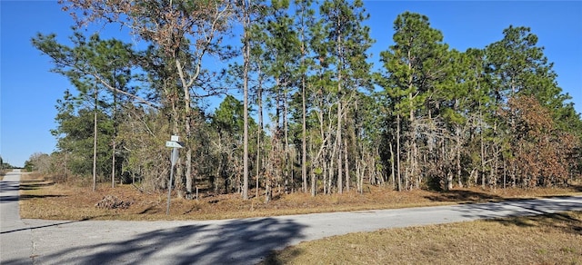 LOT21 SW Lime Ridge Ln, Dunnellon FL, 34431 land for sale