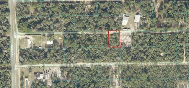 00 NE 235th Pl, Fort Mc Coy FL, 32134 land for sale