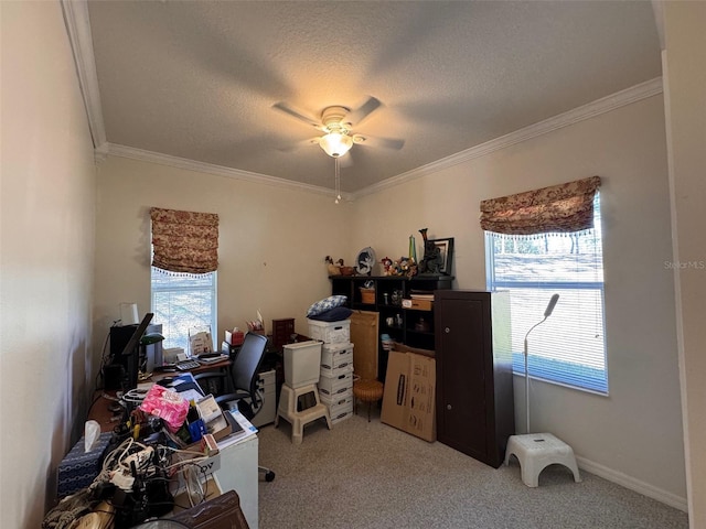 carpeted home office featuring ceiling fan, crown molding, and a textured ceiling