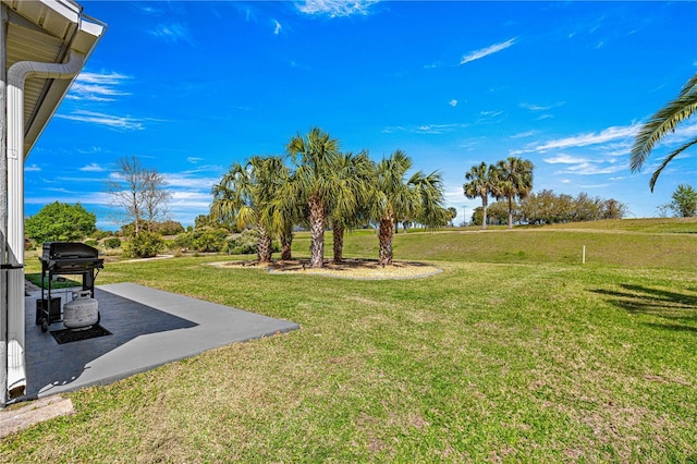 view of yard featuring a patio area