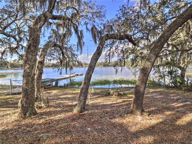 view of water feature featuring a dock