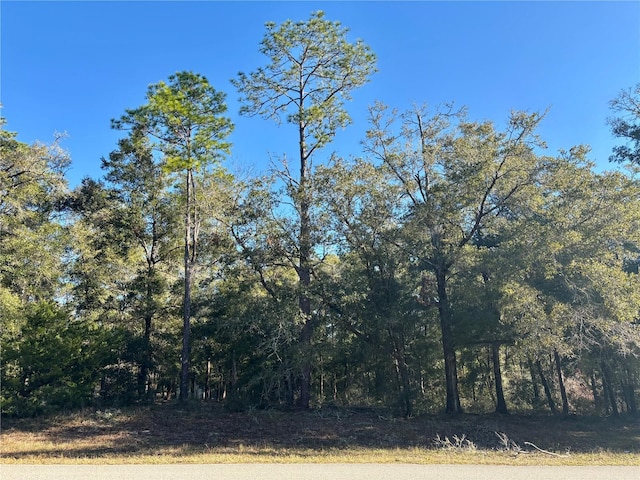 Listing photo 2 for Lot23 Sw 102 Street Road, Dunnellon FL 34431