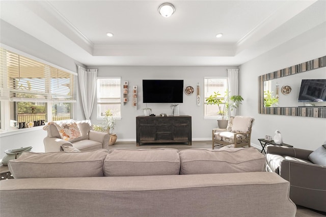 living room with a tray ceiling, a wealth of natural light, and crown molding