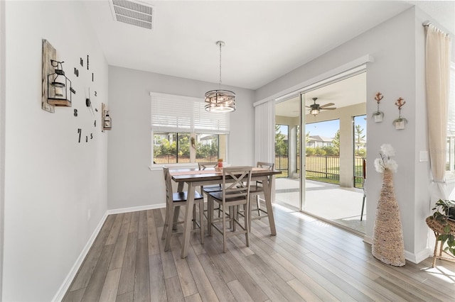 dining room featuring ceiling fan with notable chandelier and hardwood / wood-style flooring