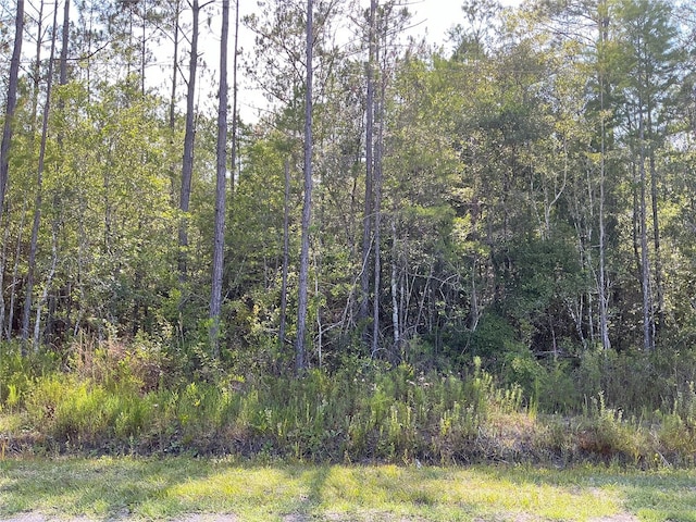 00 Crotty Ave Unit 1, Hastings FL, 32145 land for sale