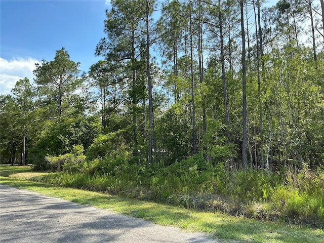 Listing photo 2 for 00 Crotty Ave Unit 1, Hastings FL 32145