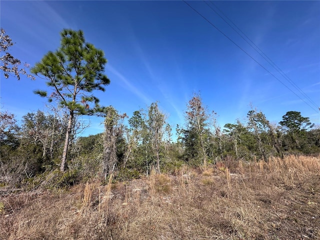 TBD NE 117th Ter, Williston FL, 32696 land for sale