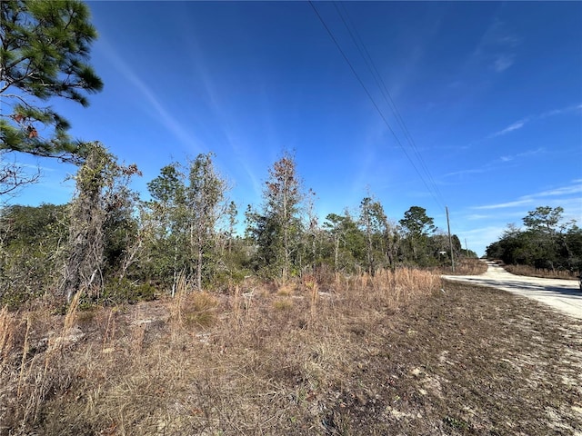 Listing photo 2 for TBD NE 117th Ter, Williston FL 32696