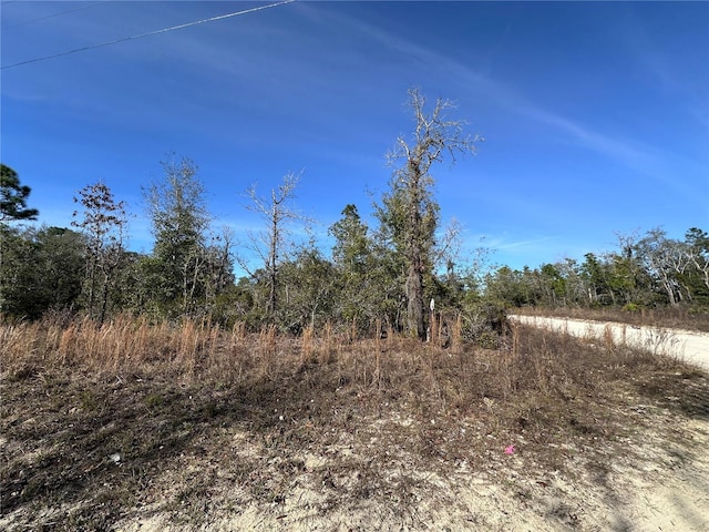 Listing photo 3 for TBD NE 117th Ter, Williston FL 32696