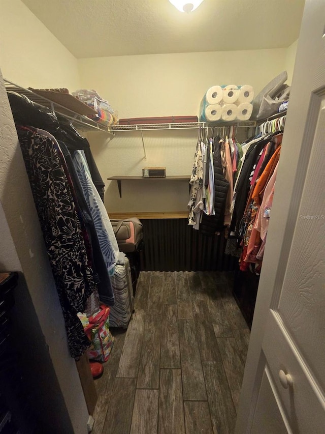 113 Guava Ter, Ocklawaha, FL 32179 - walk in closet with hardwood / wood-style floors