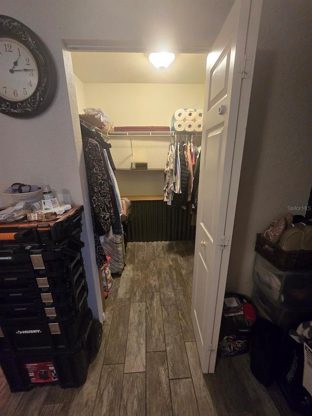 113 Guava Ter, Ocklawaha, FL 32179 - walk in closet with dark wood-style flooring
