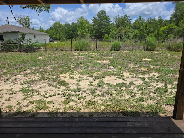 113 Guava Ter, Ocklawaha, FL 32179 - view of yard