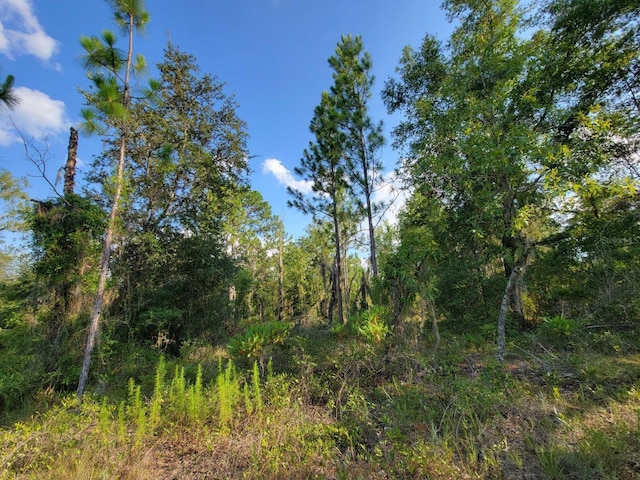 Ne 60 Lane, Bronson FL, 32621 land for sale