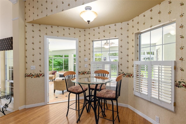 dining space featuring ceiling fan and hardwood / wood-style flooring