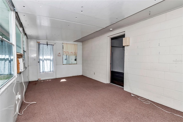 5507 SE 107th Pl, Belleview, FL 34420 - spare room with concrete block wall and carpet