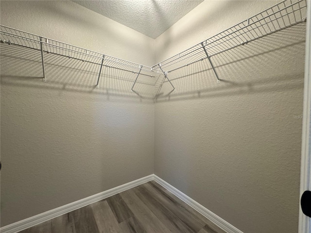 walk in closet featuring hardwood / wood-style floors