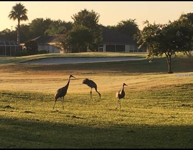 surrounding community featuring a lawn