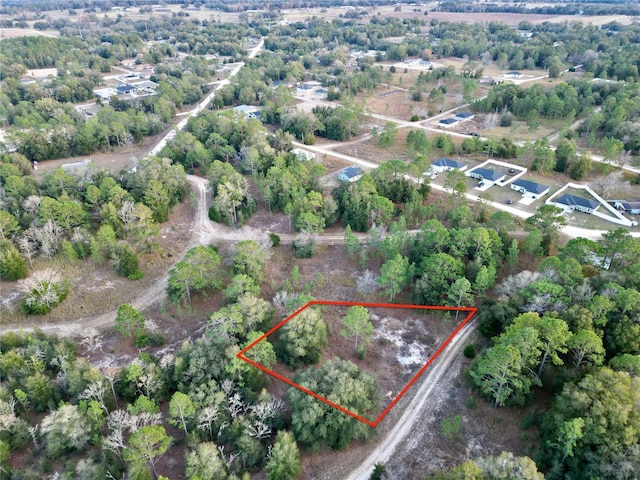 TBD SW 145th Ct, Ocala, FL 34481 - photo 3