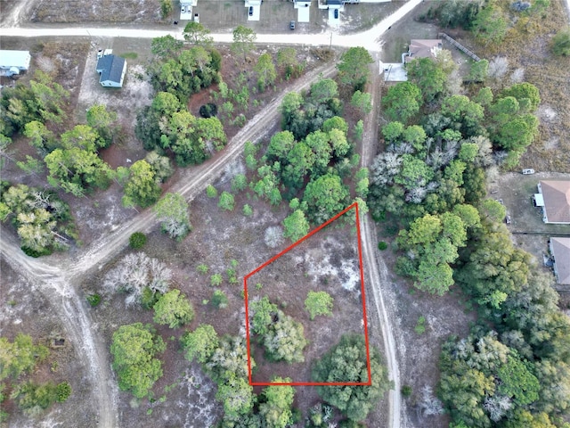 TBD SW 145th Ct, Ocala, FL 34481 - photo 4