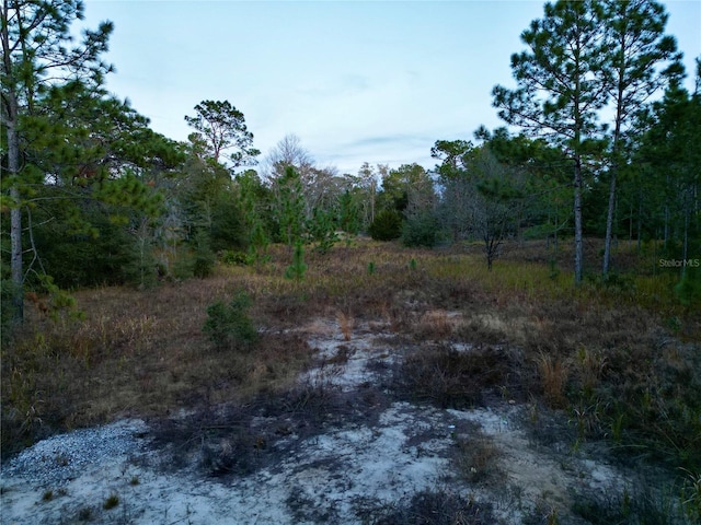 TBD SW 145th Ct, Ocala, FL 34481 - photo 9