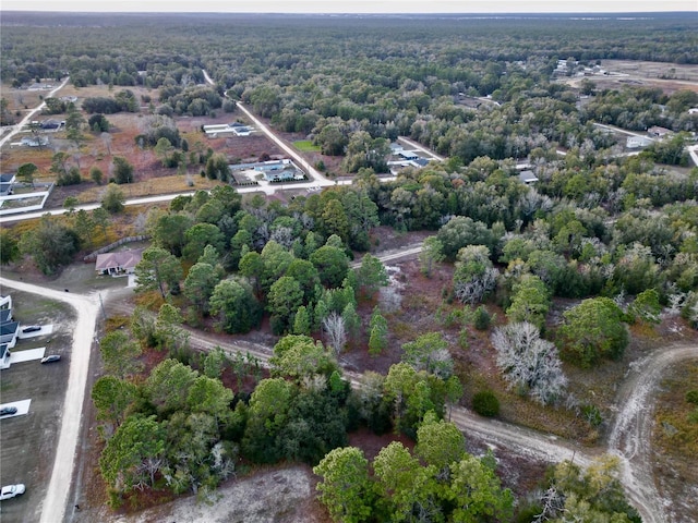 TBD SW 145th Ct, Ocala, FL 34481 - photo 7