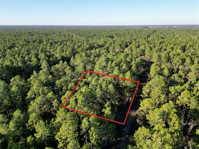 Listing photo 2 for TBD SW 155th Ave, Ocala FL 34481