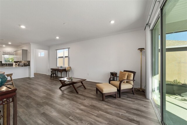 living area featuring wood-type flooring, sink, and ornamental molding