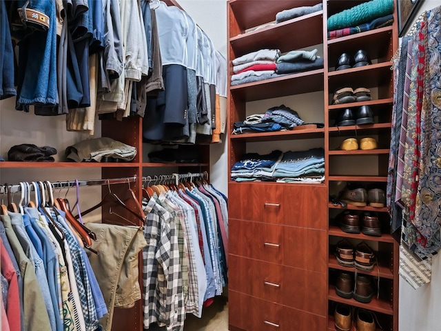 view of spacious closet